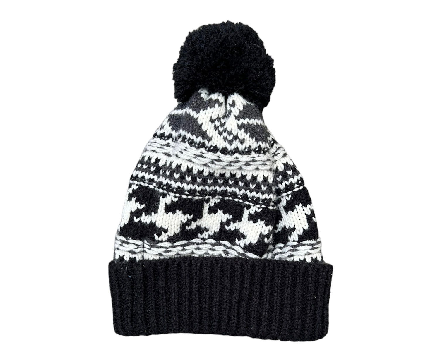 The North Face Beanie