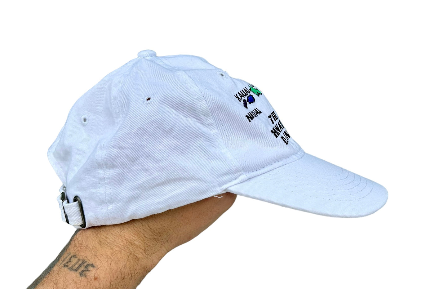 Vintage Hawaiin Islands Cap